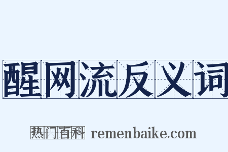 醒网流反义词是什么意思的图片